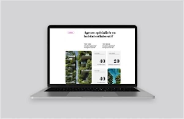 Pack 1 • PORTFOLIO DIGITAL PROJET