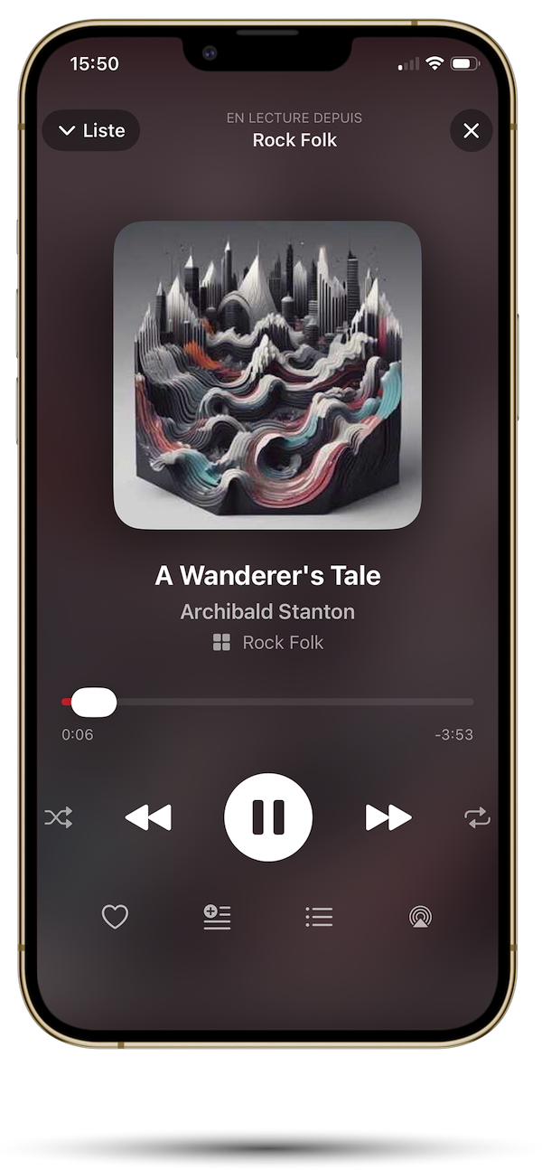 L'APPLICATION MUSICALE