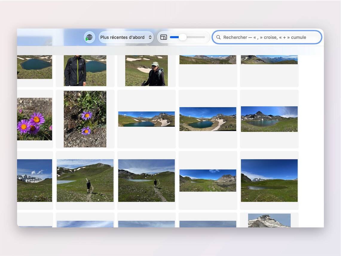 La recherche, dans la barre d'outils